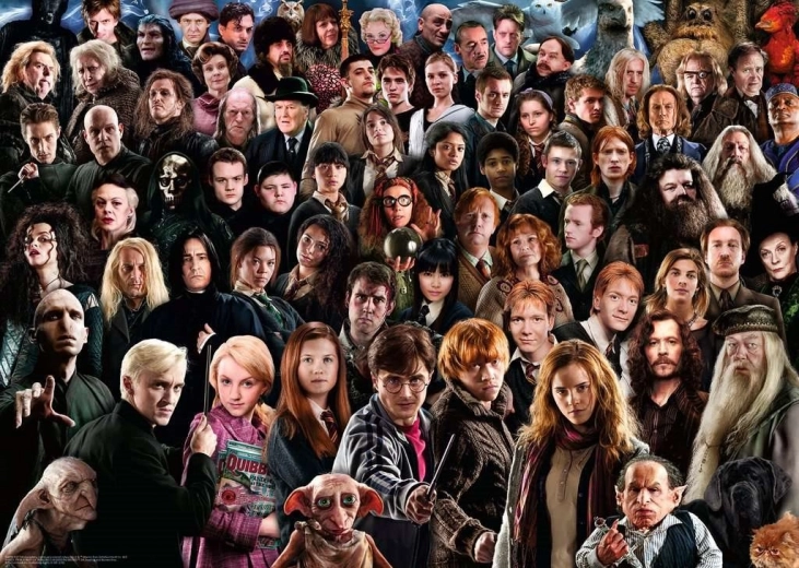 puzzle izazov harry potter 1000 dijelova