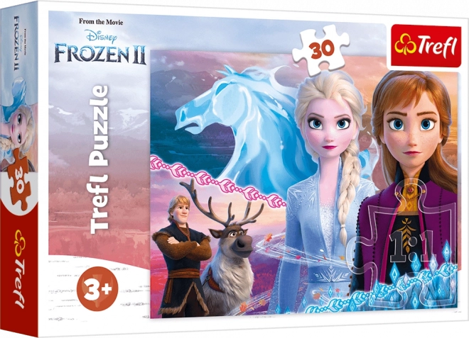 Puzzle od 30 dijelova - Hrabrost sestara - Disney Snježno kraljevstvo 2
