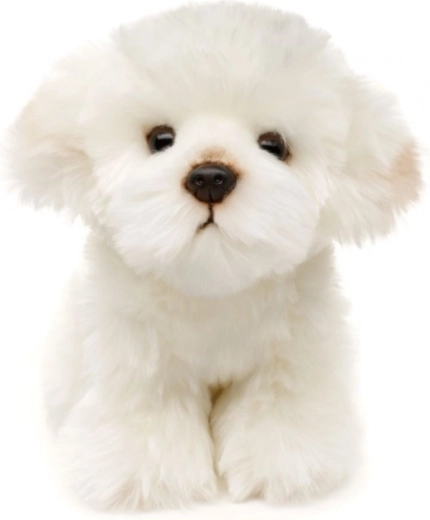 Eco-friendly i sigurna izvedba