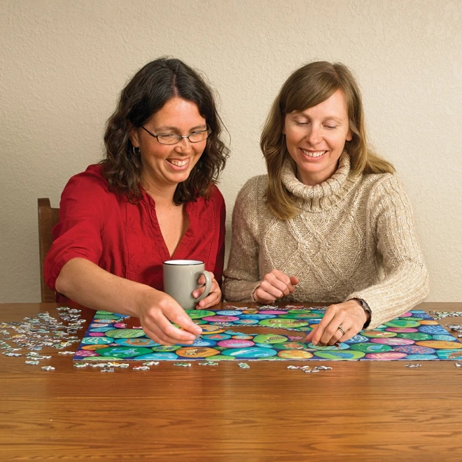 Puzzle Obojani kamenčići Sjeverozapada od Cobble Hill, 1000 komada