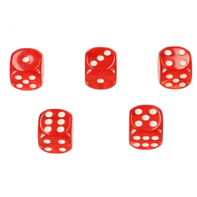 Set za poker u kovčežiću 500 žetona 2 paketa karata