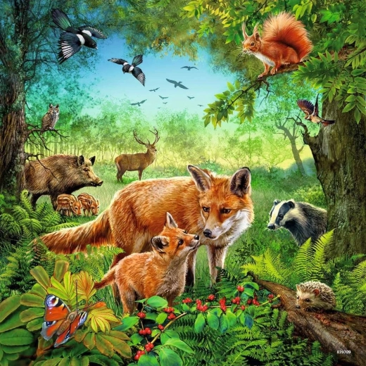 Jarke boje i detaljne ilustracije