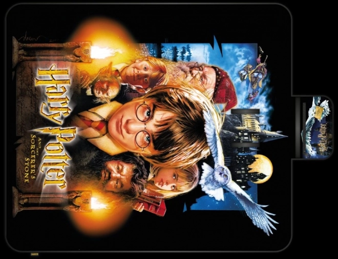 Piknik deka Harry Potter 20 godina