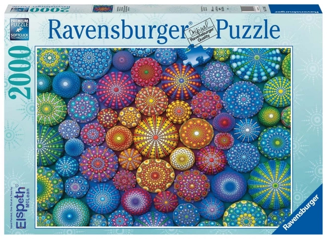Puzzle 2D 2000 komada Duge mandale