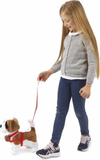 Hoda na povodcu i sluša na pljesak