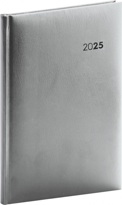 NOTIQUE Tjedni dnevnik Balacron 2025, srebrni, 15 x 21 cm