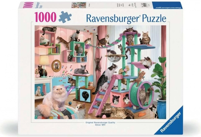 Puzzle Mačje nebo 1000 dijelova