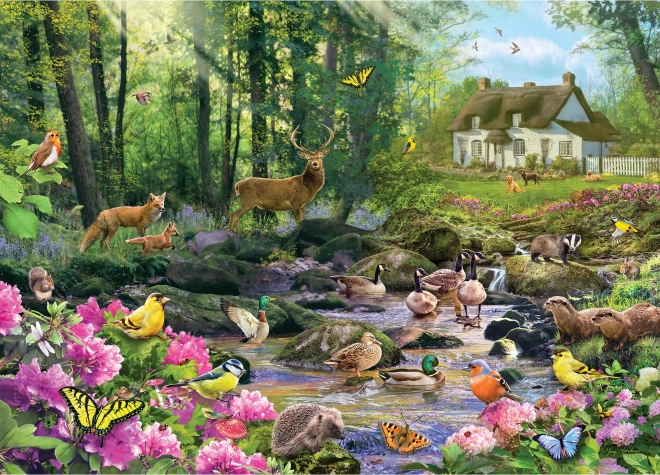 Puzzle Proplanak 1000 dijelova