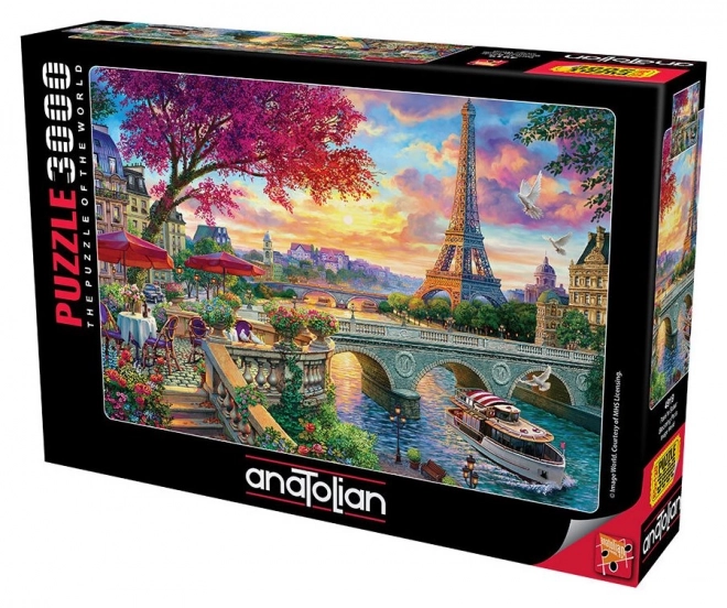 Puzzle Cvjetajući Pariz 3000 dijelova