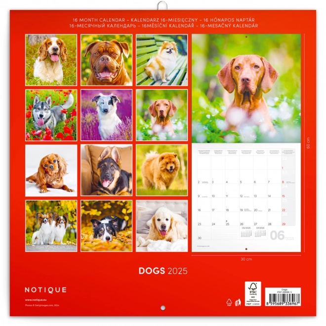 Zidni kalendar Psi 2025, 30 x 30 cm