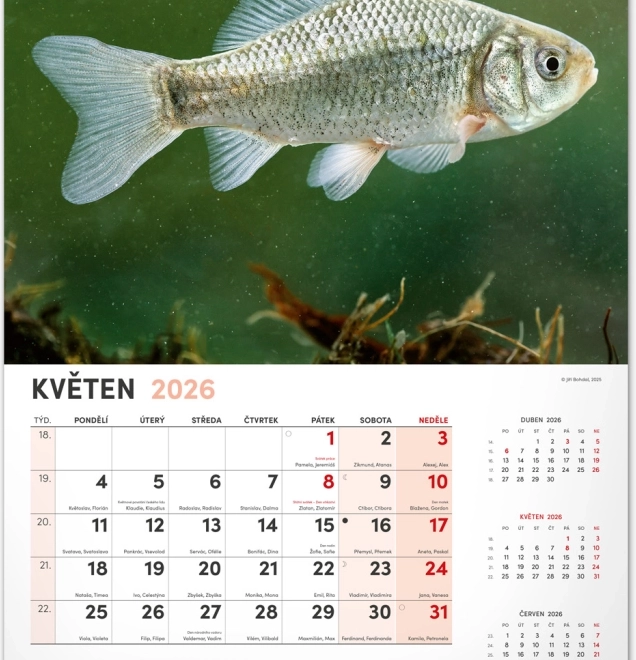 Zidni kalendar Ribički 2026