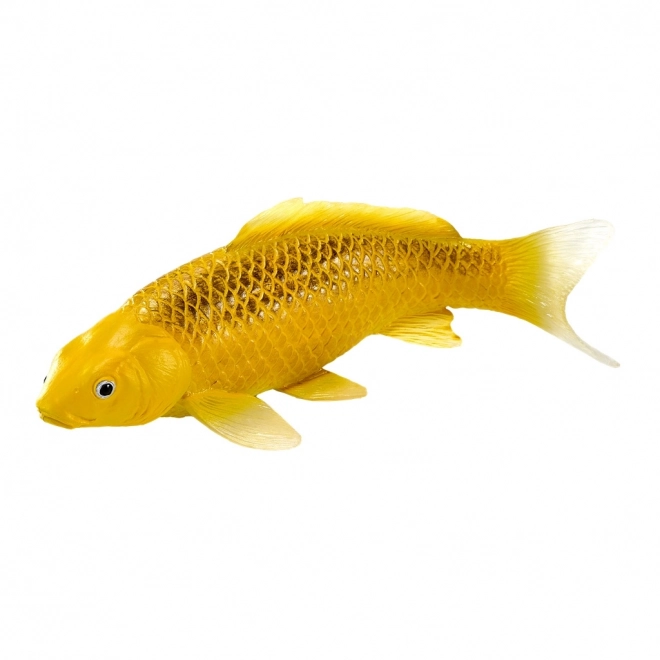 Mojo šaran koi Matsuba