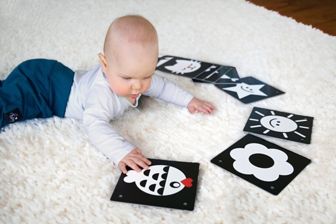 KukiKuk 80002 Veeliké kontrastne karte za bebe