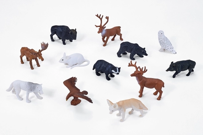 Mojo mini svijet šumske životinje – set od 12 figurica u tubi