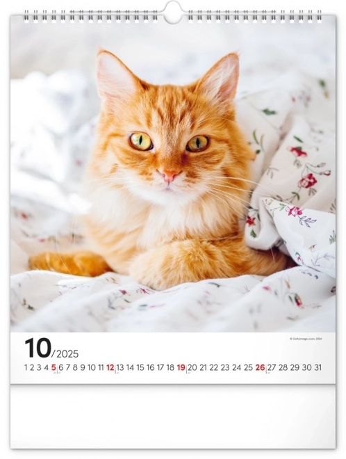 Zidni kalendar Mačke 2025, 30 × 34 cm