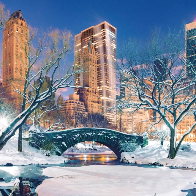 Bilješke kalendar New York 2026