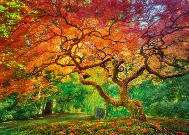 Cherry Pazzi puzzle Krošnja stabla 1000 dijelova