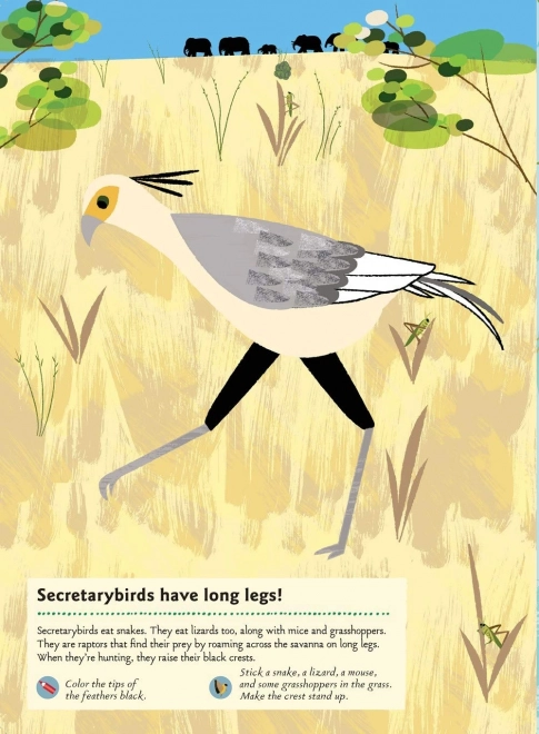 Knjiga aktivnosti sa naljepnicama - Životinje savane