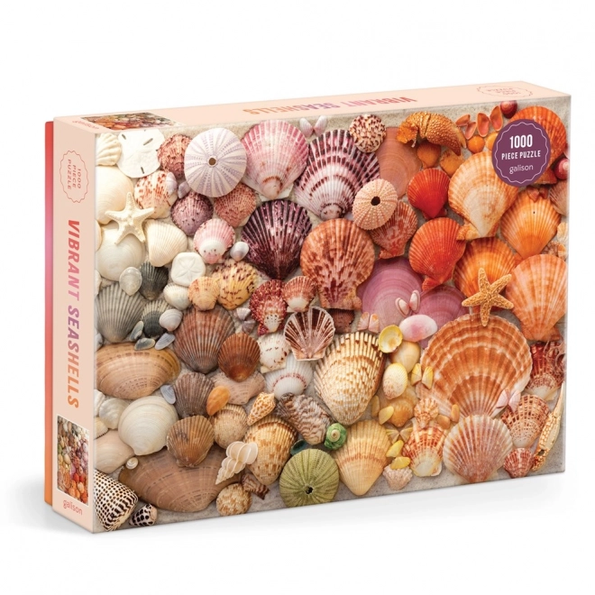 Puzzle Sjajne školjke 1000 dijelova