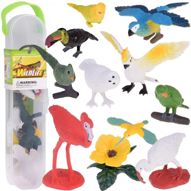 Set obojenih figura egzotičnih ptica