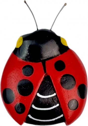 Drvena magnetna bubamara 2Kids Toys