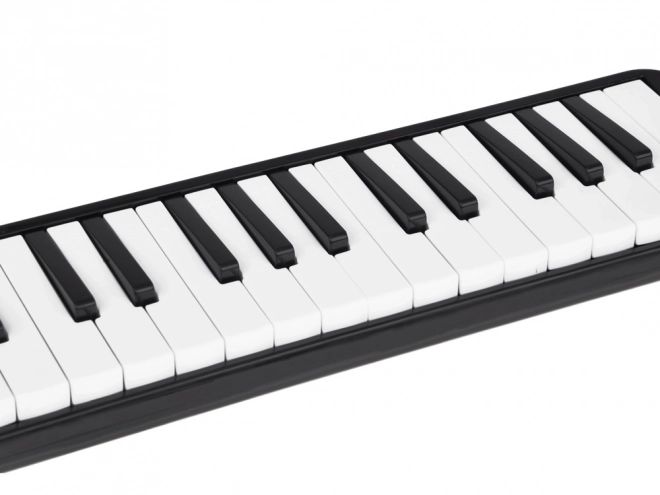 Melodika s tipkama i futrolom