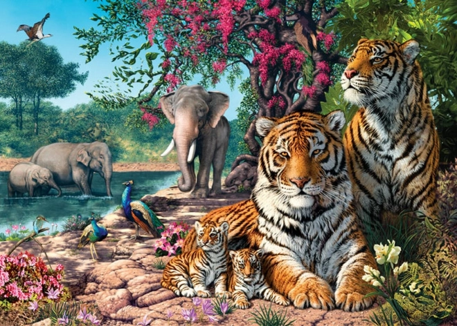 Puzzle Tigrje utočište 300 dijelova