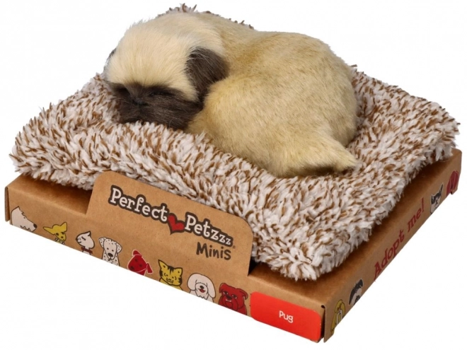 Slatko štene mopsa Perfect Petzzz