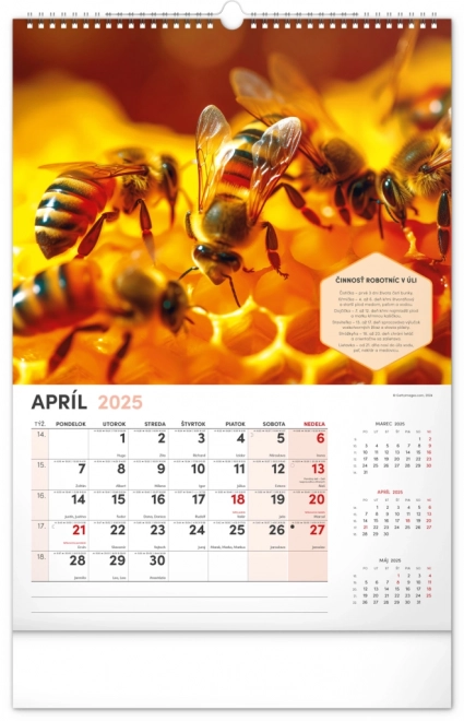 NOTIQUE Zidni Pčelarski kalendar 2025, 33 x 46 cm
