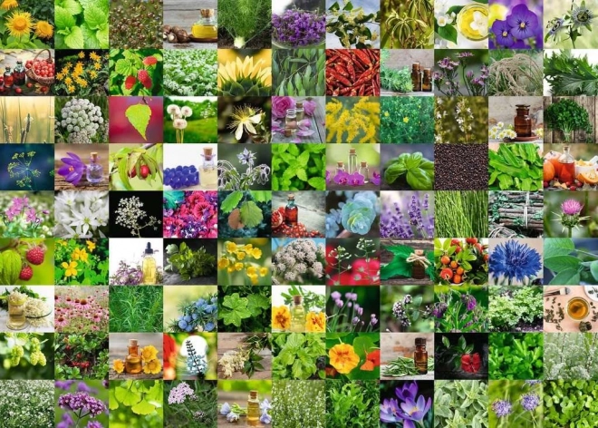 Puzzle RAVENSBURGER 1000 dijelova 99 biljaka