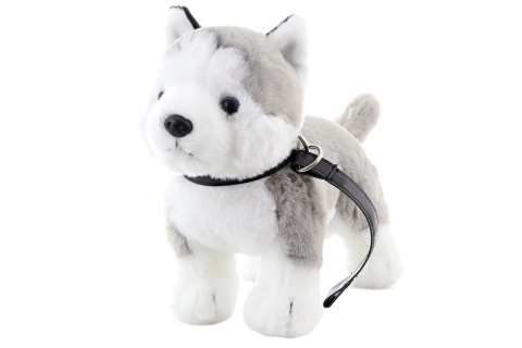 Plišana igračka husky s uzicom