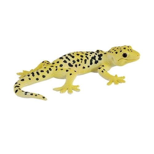 Mojo Gekon Leopard