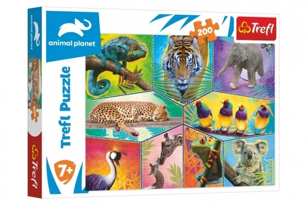 Puzzle Planeta životinja 48x34cm 200 dijelova u kutiji 33x23x4cm