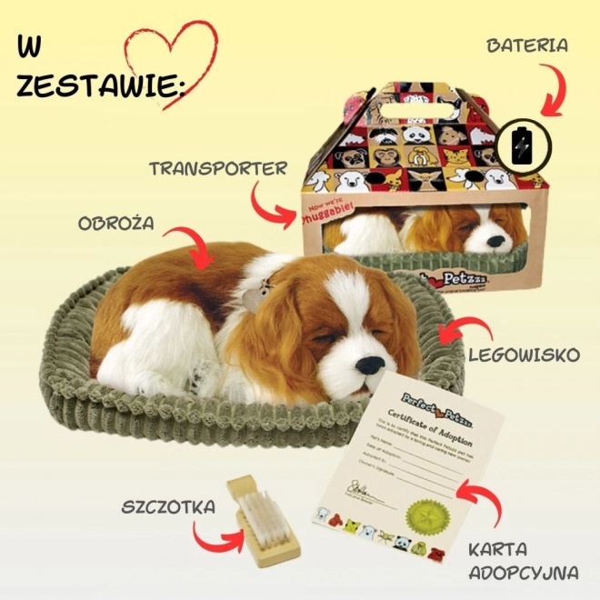 Dišuće štenac Cavalier