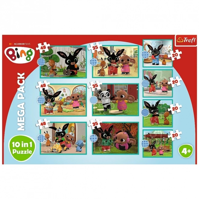 Mega Set Puzzle Bing 10v1