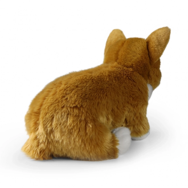 Plišani pas corgi 32 cm od ekoloških materijala