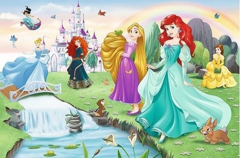 Puzzle Upoznajte princeze 33x22cm 60 dijelova u kutiji 21x14x4cm