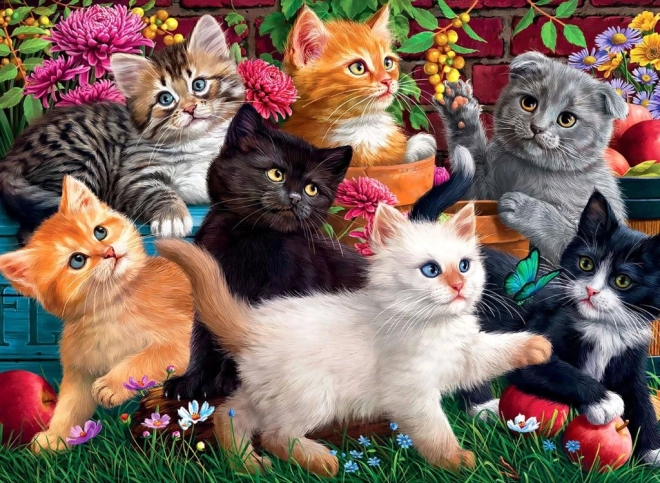 Zaigrani mačići Puzzle 260 dijelova