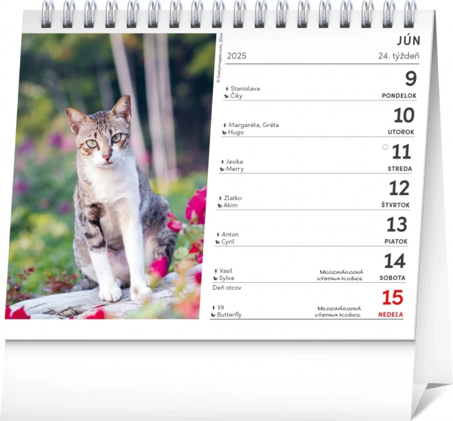 NOTIQUE Stolni kalendar Mačke – s imenima mačaka 2025, 16,5 x 13 cm