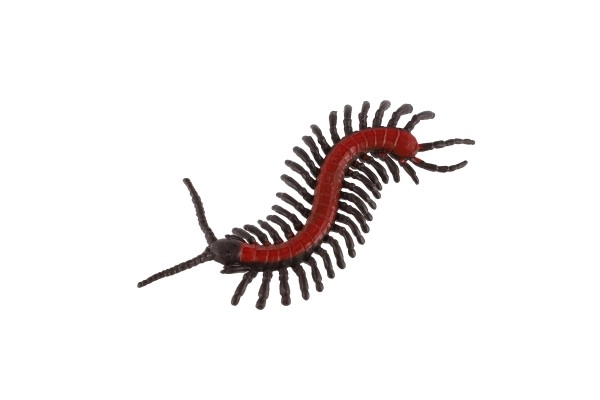 Realistični plastični modeli insekata