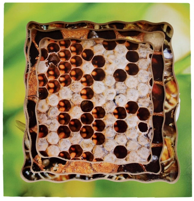 Just Jigsaws 600 Pčela – drvene složive puzzle