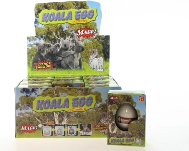 Jaje iznenađenja – izležuća koala