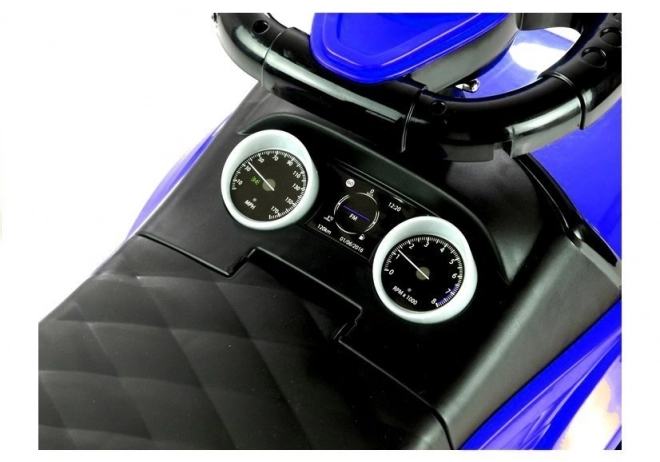 Kolica Rider 614W Plava