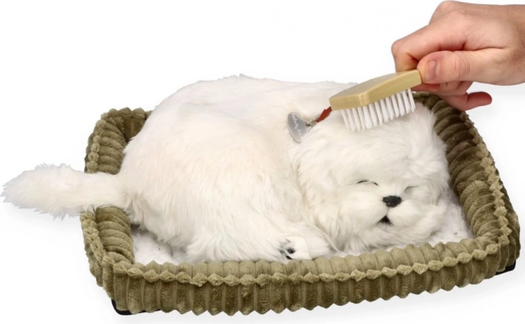 Njega i maženje kao sa stvarnim psićem