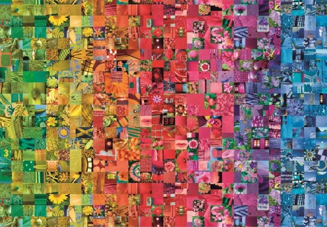 Puzzle 1000 dijelova Compact Colorboom Collection