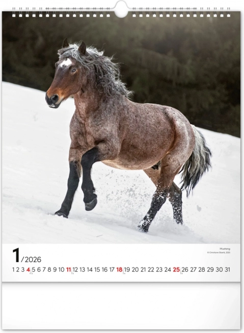 Zidni kalendar Konji 2026