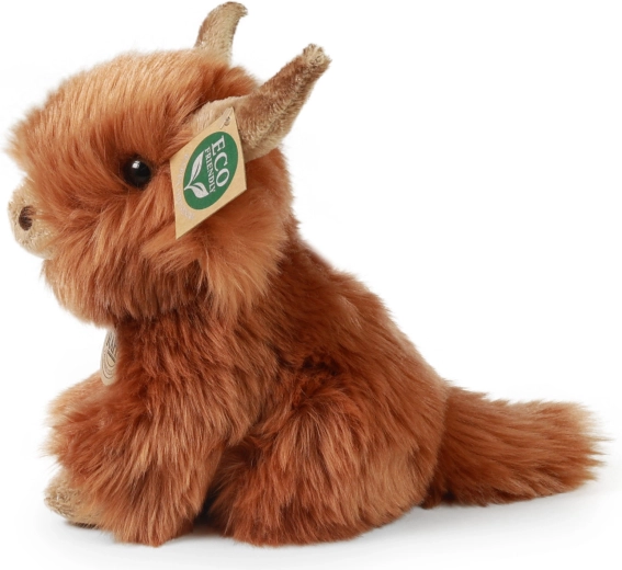 Autentičan izgled škotskog visinskog goveda