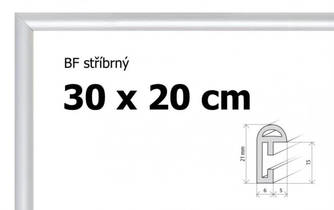 Plastični okvir 30x20cm srebrni