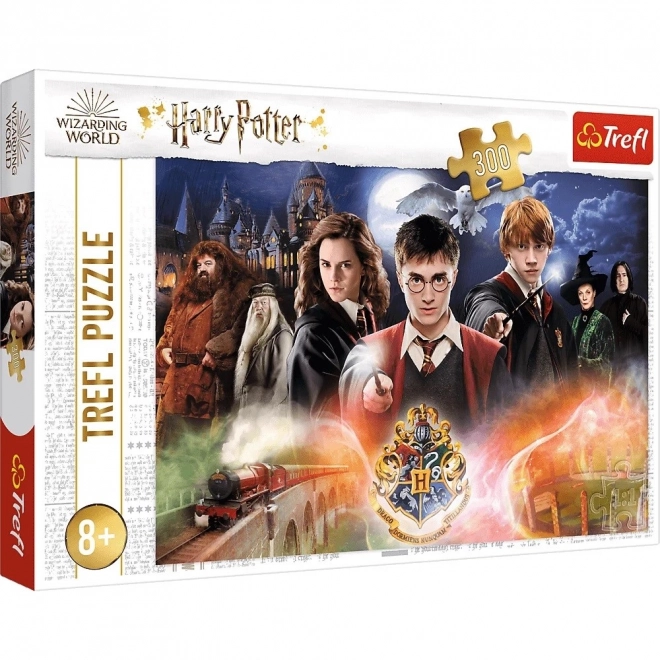 Tajanstveni Harry Potter puzzle 300 dijelova