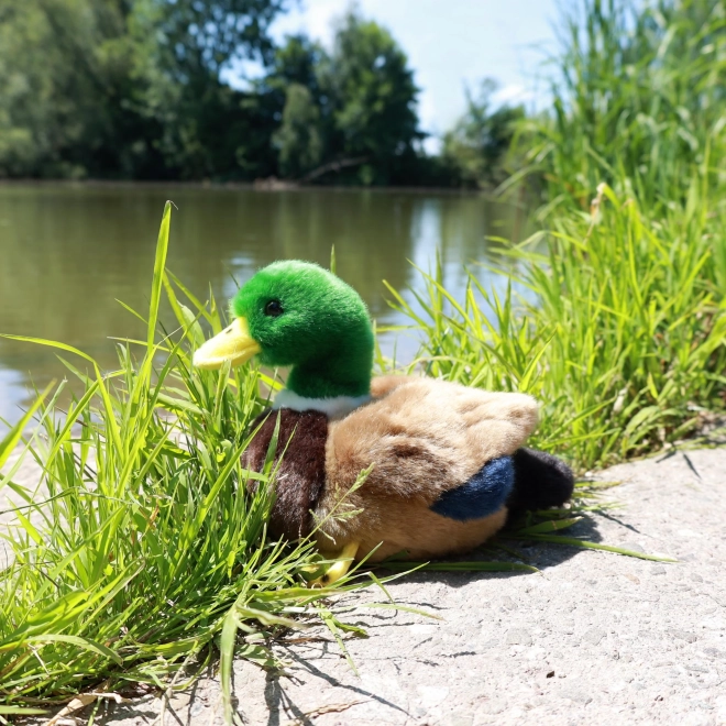 Plišani patka 20 cm EKO-PRIJATELJSKI